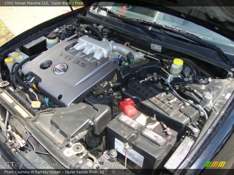Super Black / Frost 2002 Nissan Maxima GLE