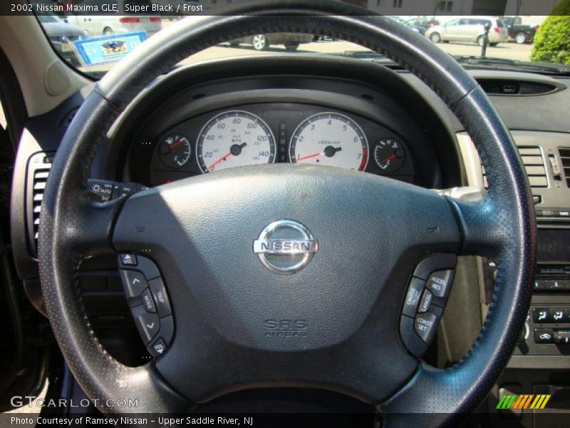 Super Black / Frost 2002 Nissan Maxima GLE