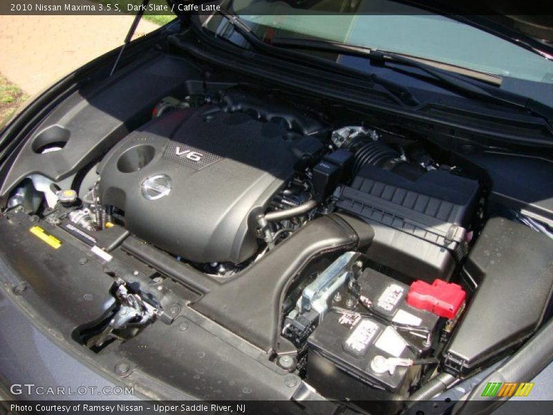 Dark Slate / Caffe Latte 2010 Nissan Maxima 3.5 S