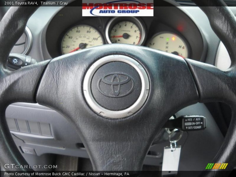Titanium / Gray 2001 Toyota RAV4