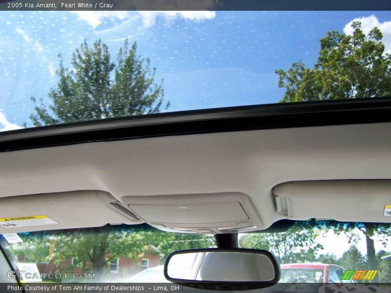 Pearl White / Gray 2005 Kia Amanti