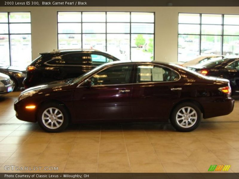 Black Garnet Pearl / Black 2003 Lexus ES 300