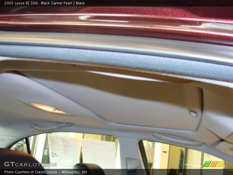 Black Garnet Pearl / Black 2003 Lexus ES 300
