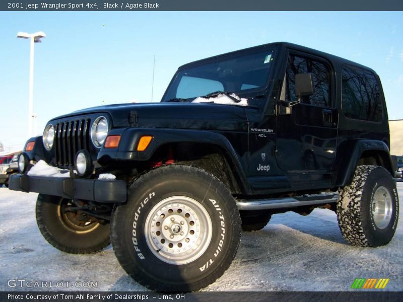 Black / Agate Black 2001 Jeep Wrangler Sport 4x4