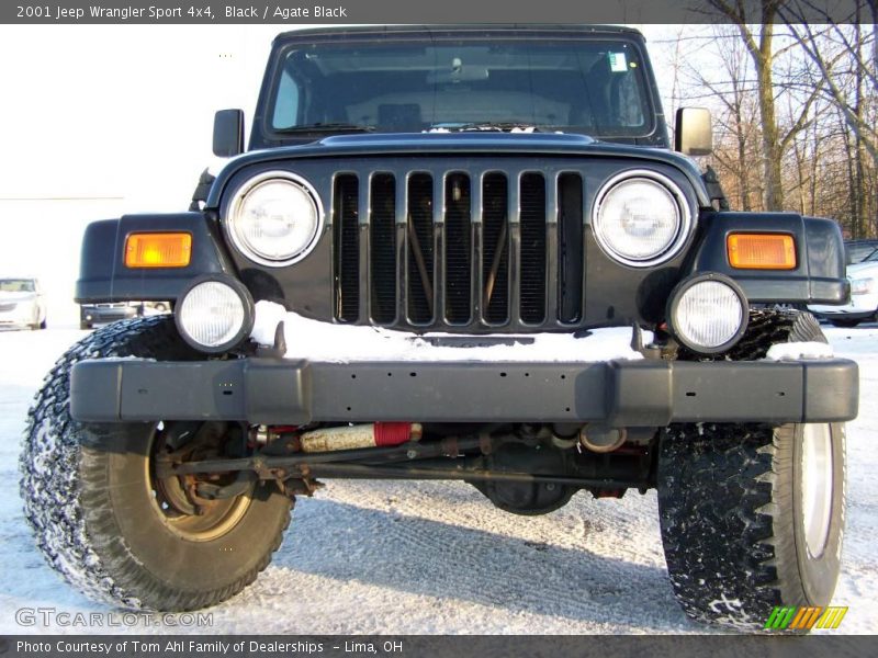 Black / Agate Black 2001 Jeep Wrangler Sport 4x4