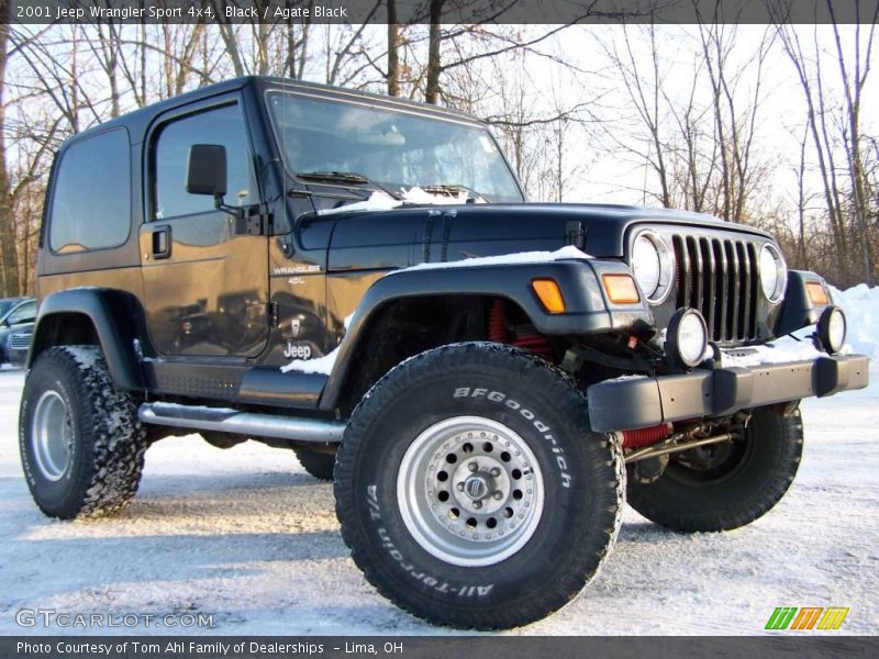 Black / Agate Black 2001 Jeep Wrangler Sport 4x4