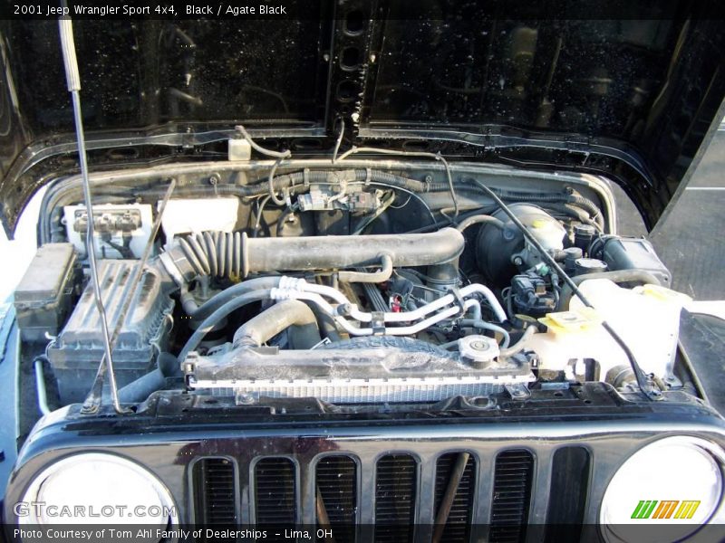 Black / Agate Black 2001 Jeep Wrangler Sport 4x4
