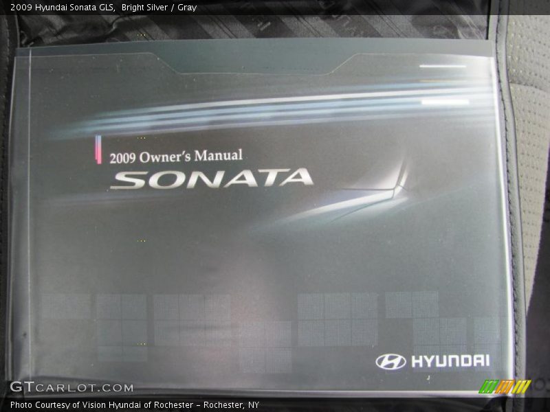 Bright Silver / Gray 2009 Hyundai Sonata GLS