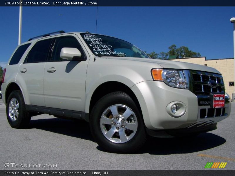 Light Sage Metallic / Stone 2009 Ford Escape Limited