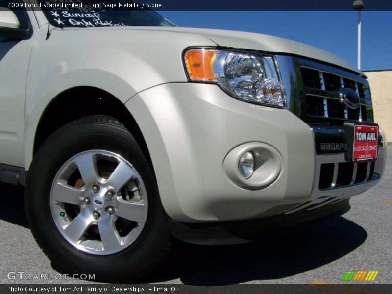 Light Sage Metallic / Stone 2009 Ford Escape Limited