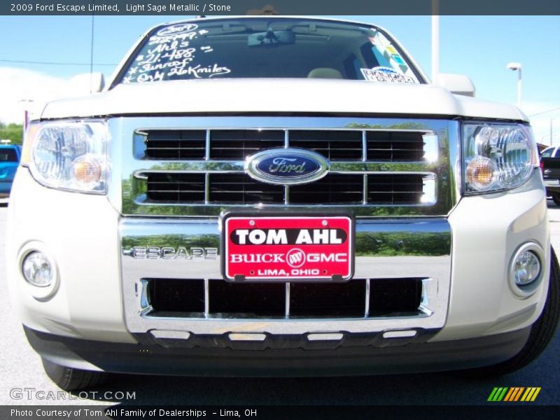 Light Sage Metallic / Stone 2009 Ford Escape Limited