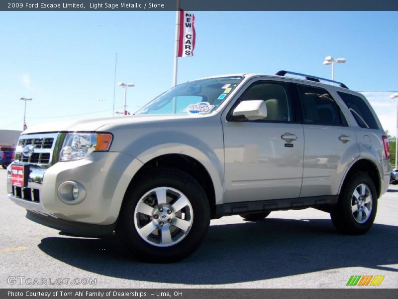 Light Sage Metallic / Stone 2009 Ford Escape Limited