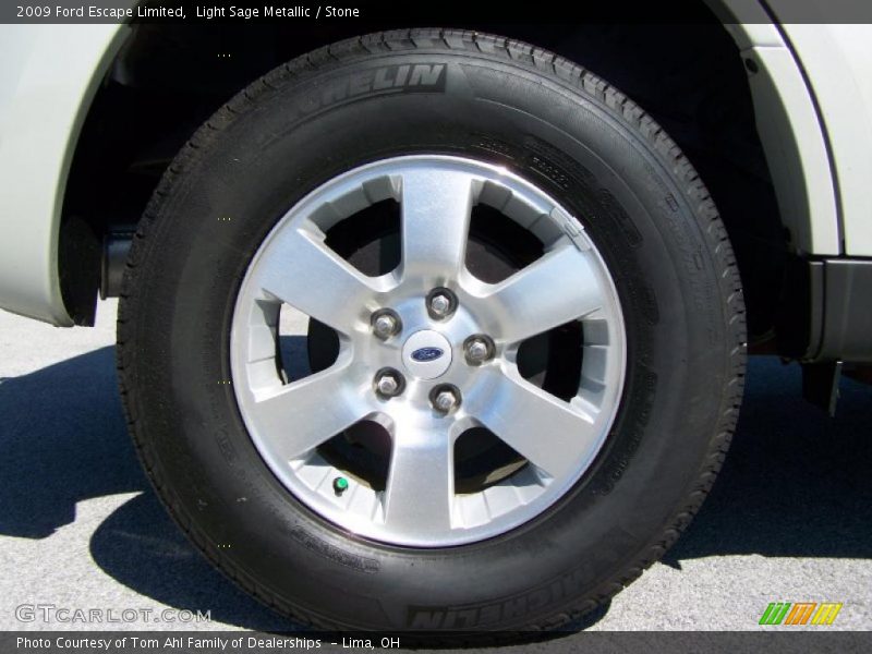 Light Sage Metallic / Stone 2009 Ford Escape Limited