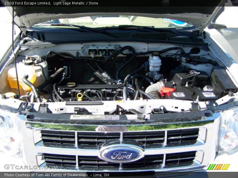 Light Sage Metallic / Stone 2009 Ford Escape Limited