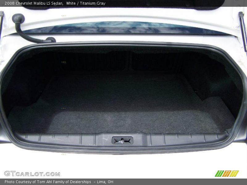 White / Titanium Gray 2008 Chevrolet Malibu LS Sedan