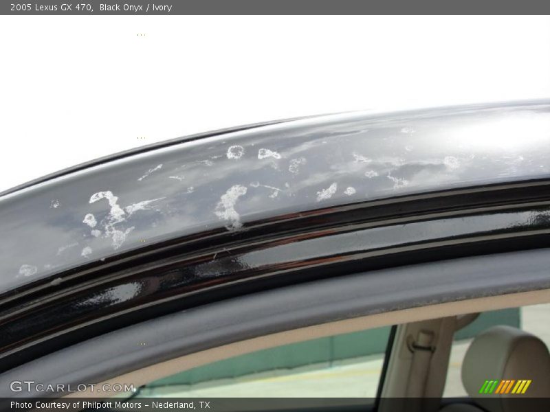 Black Onyx / Ivory 2005 Lexus GX 470