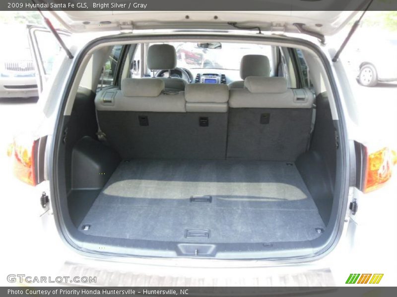 Bright Silver / Gray 2009 Hyundai Santa Fe GLS