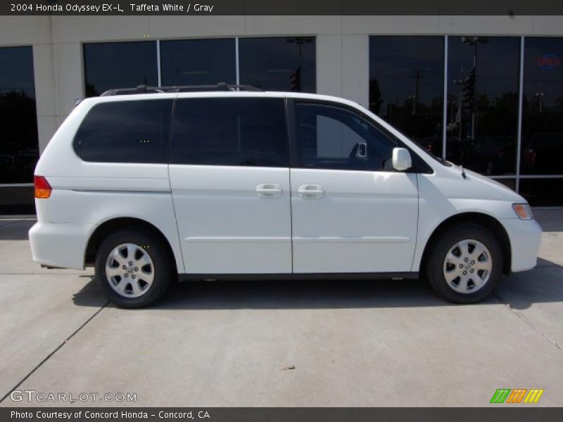 Taffeta White / Gray 2004 Honda Odyssey EX-L