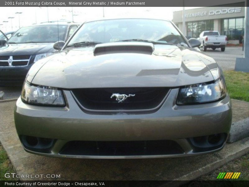 Mineral Grey Metallic / Medium Parchment 2001 Ford Mustang Cobra Coupe