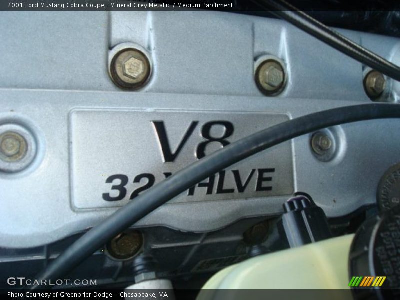 Mineral Grey Metallic / Medium Parchment 2001 Ford Mustang Cobra Coupe