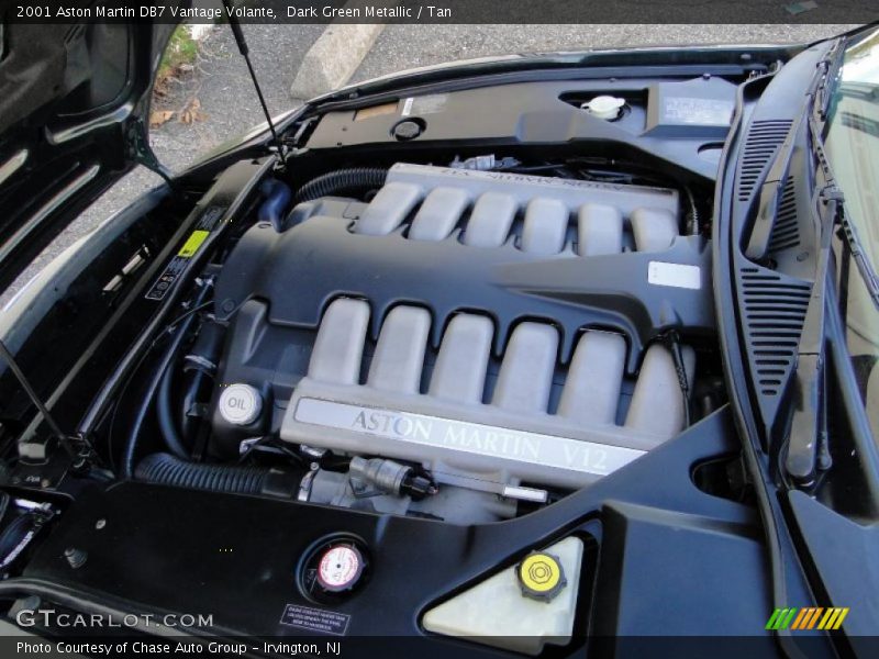 Dark Green Metallic / Tan 2001 Aston Martin DB7 Vantage Volante