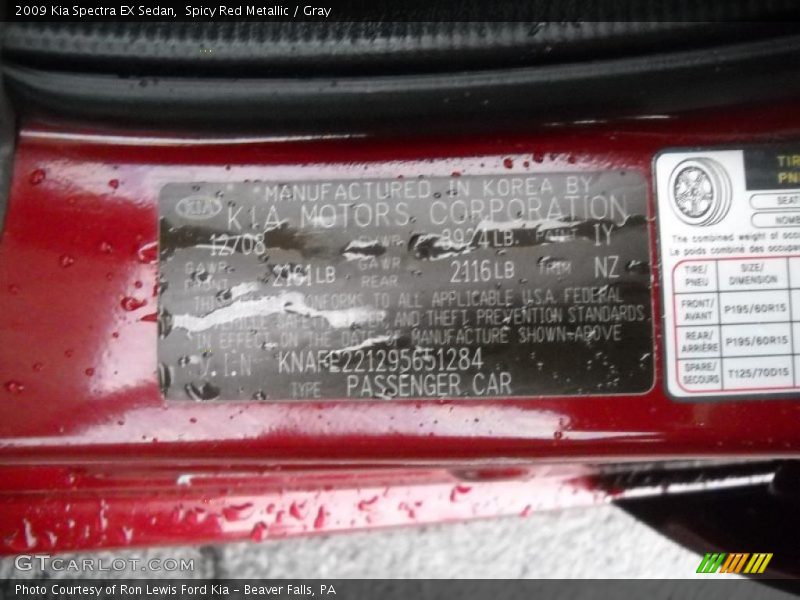 Spicy Red Metallic / Gray 2009 Kia Spectra EX Sedan
