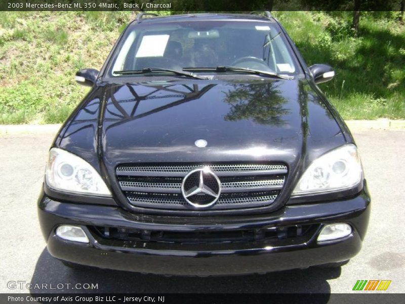 Black / Charcoal 2003 Mercedes-Benz ML 350 4Matic