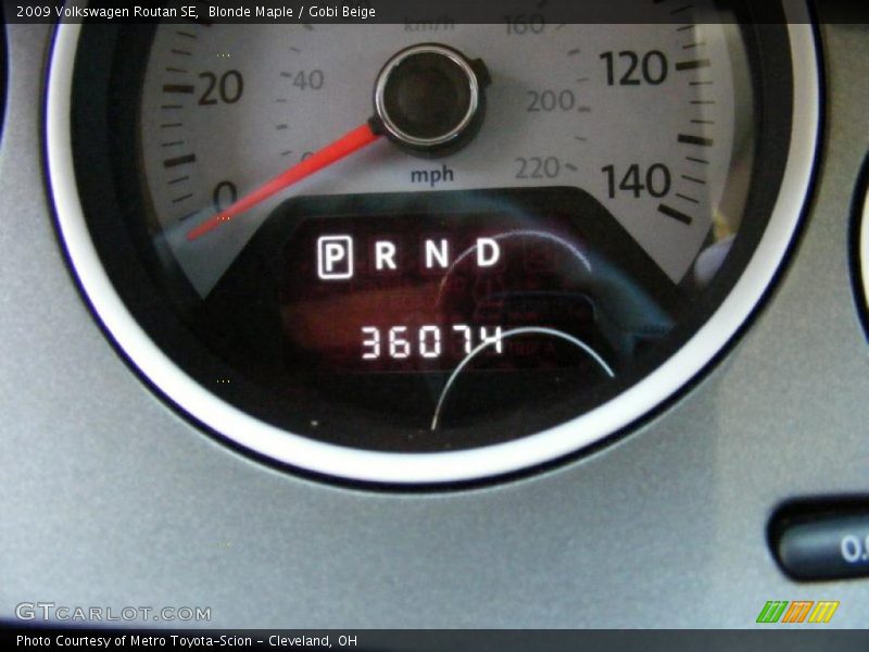 Blonde Maple / Gobi Beige 2009 Volkswagen Routan SE