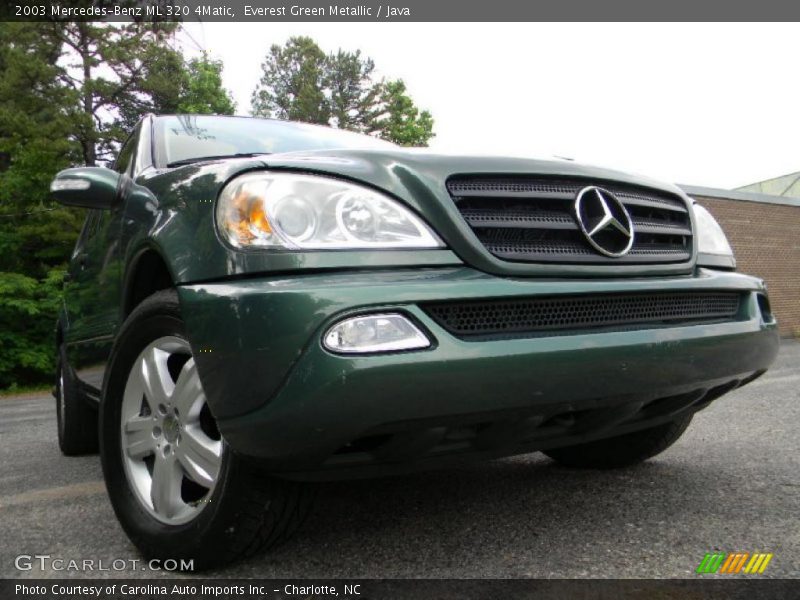 Everest Green Metallic / Java 2003 Mercedes-Benz ML 320 4Matic