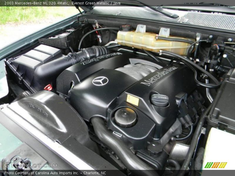 Everest Green Metallic / Java 2003 Mercedes-Benz ML 320 4Matic