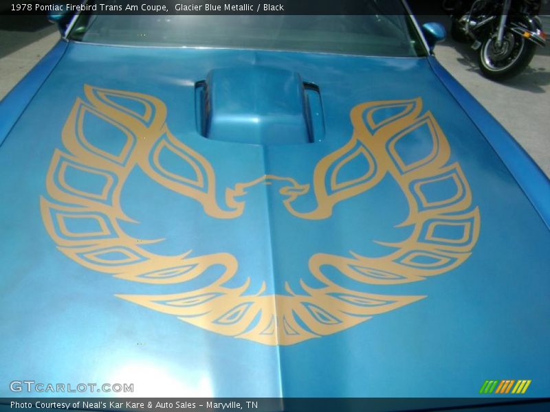  1978 Firebird Trans Am Coupe Logo