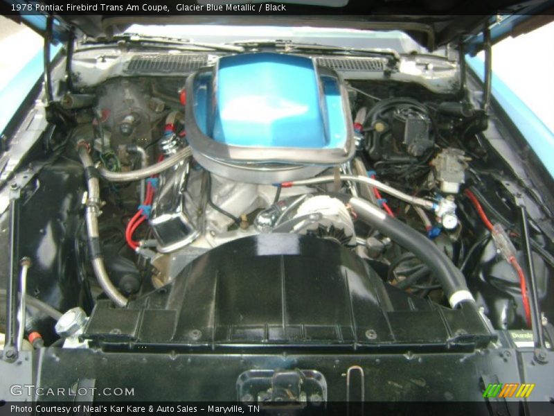  1978 Firebird Trans Am Coupe Engine - 6.6 Liter OHV 16-Valve V8