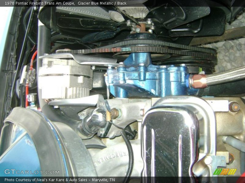 Glacier Blue Metallic / Black 1978 Pontiac Firebird Trans Am Coupe