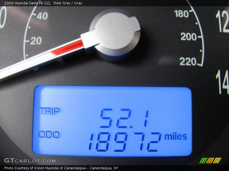 Steel Gray / Gray 2009 Hyundai Santa Fe GLS