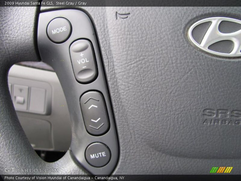 Steel Gray / Gray 2009 Hyundai Santa Fe GLS