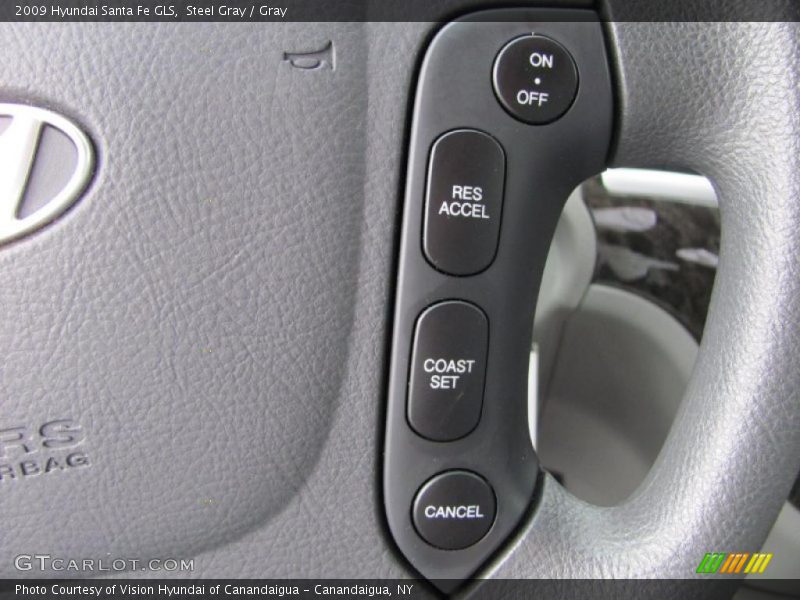 Steel Gray / Gray 2009 Hyundai Santa Fe GLS