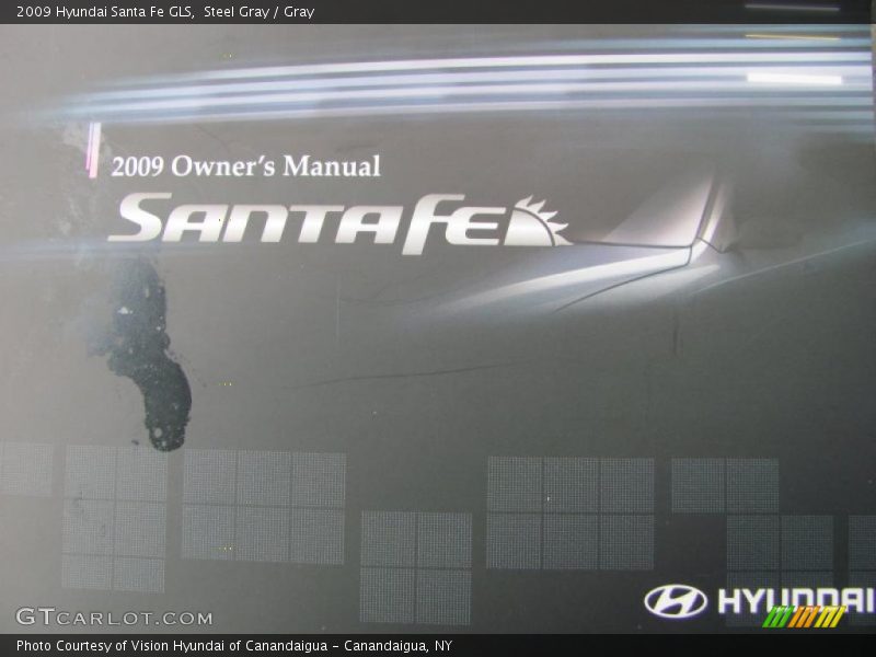 Steel Gray / Gray 2009 Hyundai Santa Fe GLS