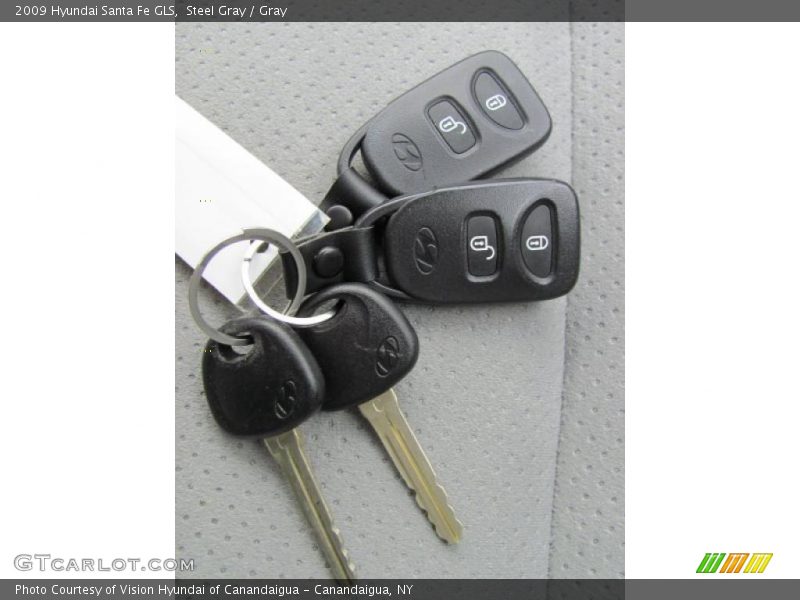 Steel Gray / Gray 2009 Hyundai Santa Fe GLS