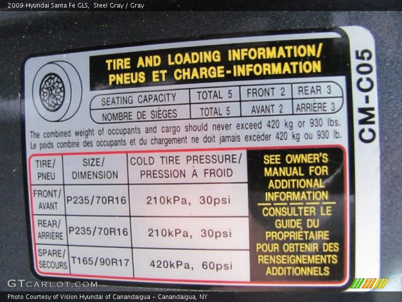 Steel Gray / Gray 2009 Hyundai Santa Fe GLS