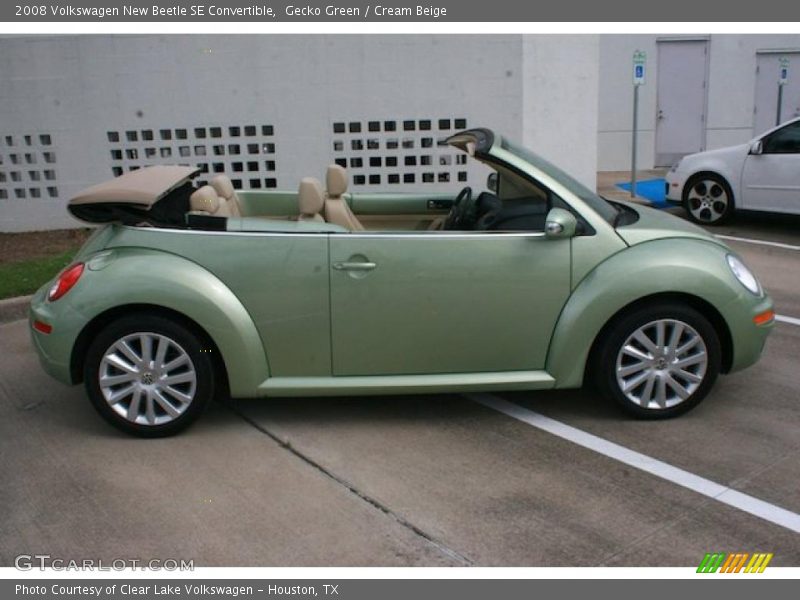 Gecko Green / Cream Beige 2008 Volkswagen New Beetle SE Convertible