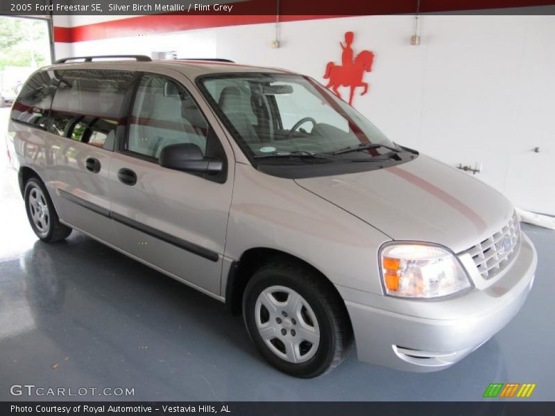 Silver Birch Metallic / Flint Grey 2005 Ford Freestar SE