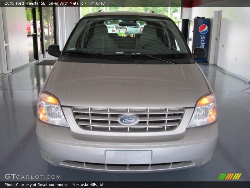 Silver Birch Metallic / Flint Grey 2005 Ford Freestar SE