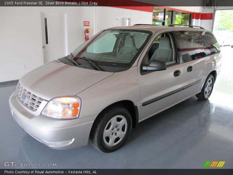 Silver Birch Metallic / Flint Grey 2005 Ford Freestar SE