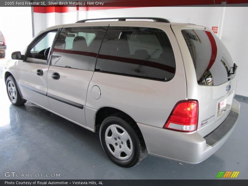 Silver Birch Metallic / Flint Grey 2005 Ford Freestar SE
