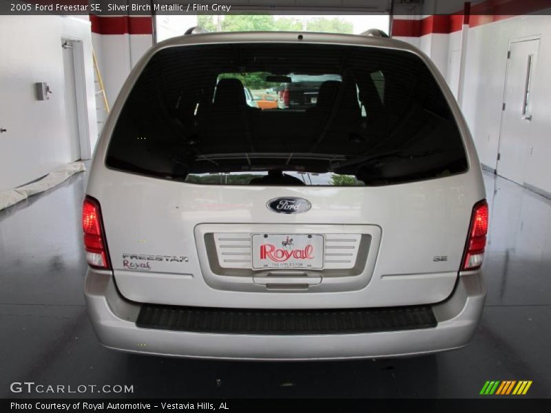 Silver Birch Metallic / Flint Grey 2005 Ford Freestar SE