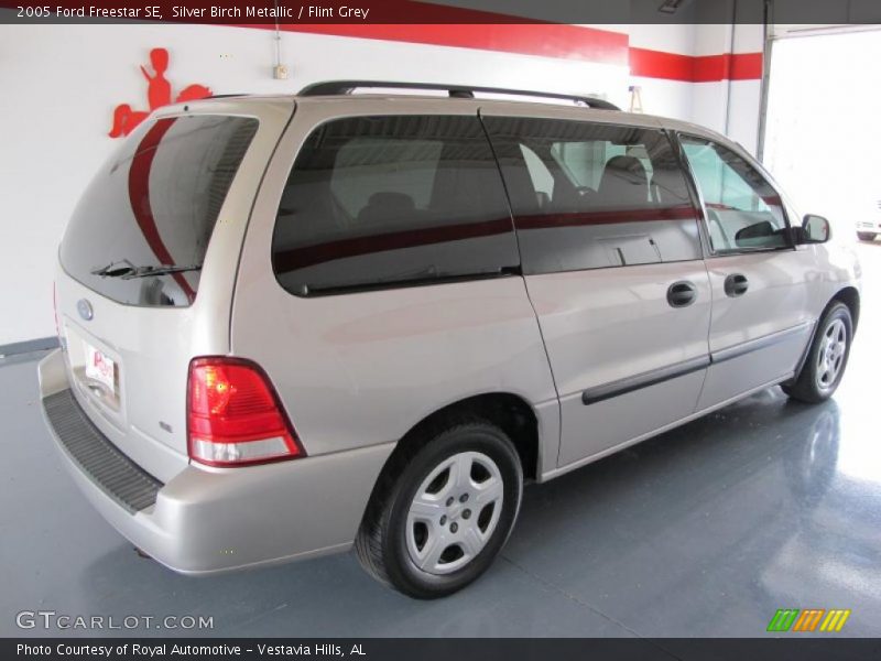 Silver Birch Metallic / Flint Grey 2005 Ford Freestar SE