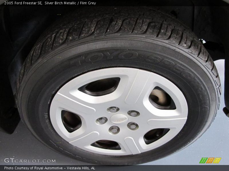 Silver Birch Metallic / Flint Grey 2005 Ford Freestar SE