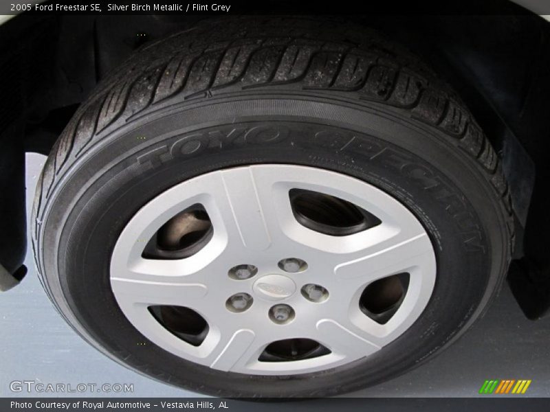 Silver Birch Metallic / Flint Grey 2005 Ford Freestar SE