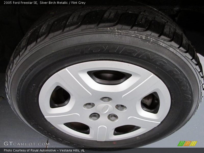 Silver Birch Metallic / Flint Grey 2005 Ford Freestar SE