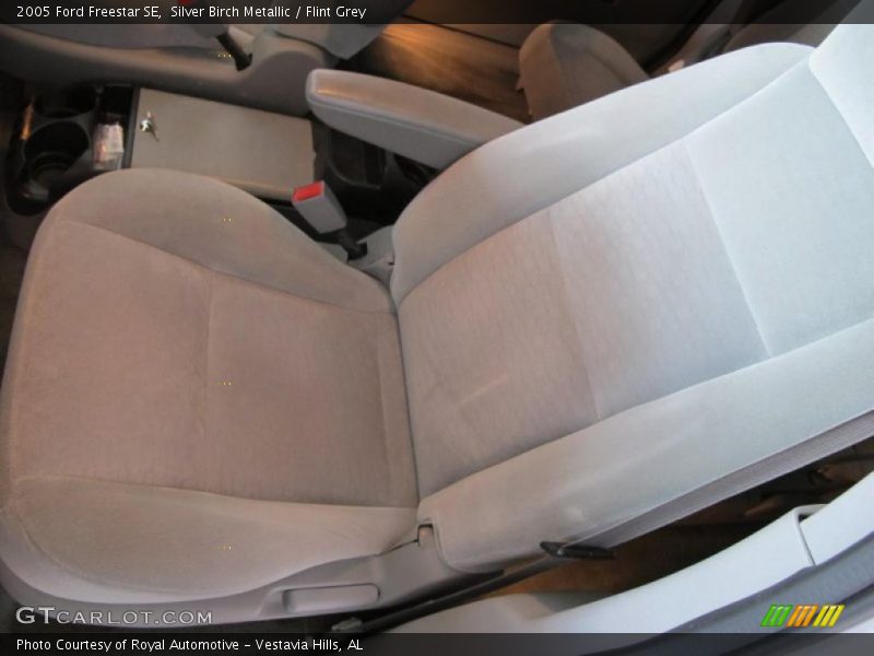 Silver Birch Metallic / Flint Grey 2005 Ford Freestar SE